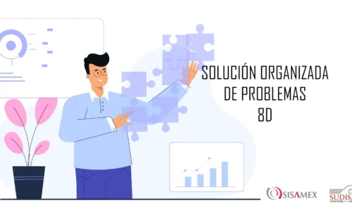 Solución Organizada de Problemas 8D