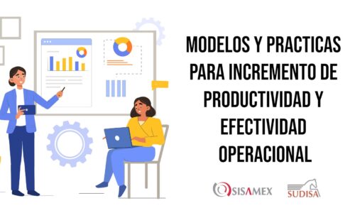 Modelos y prácticas para incremento de productividad y efectividad operacional
